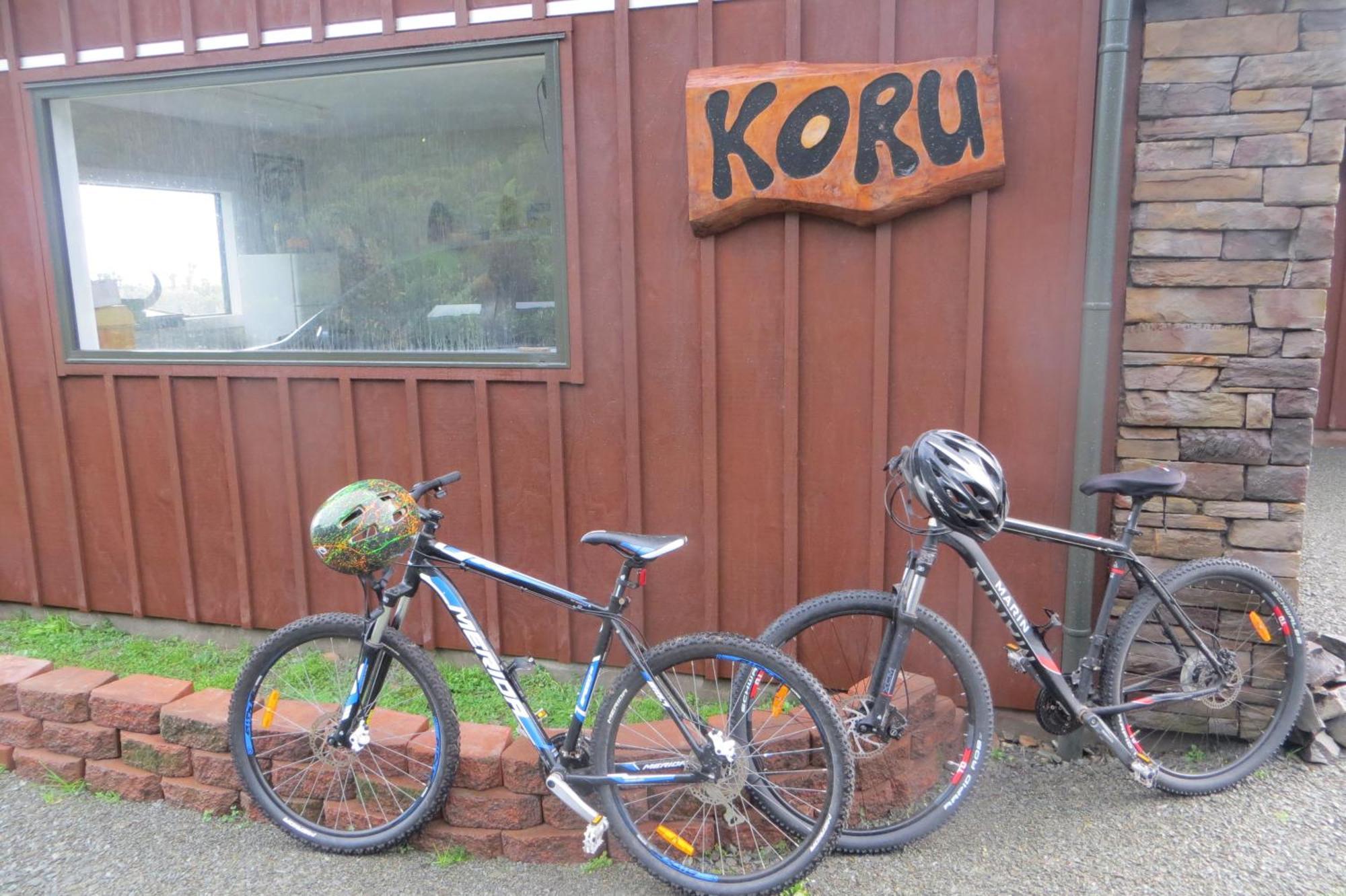 Koru Beachfront Holiday Cabins & Hot Tub Barrytown Kültér fotó
